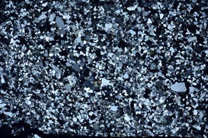 Cross Polarized, S58507