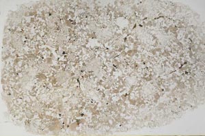 Plane Polarized, S58512