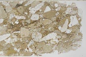 Plane Polarized, S58526