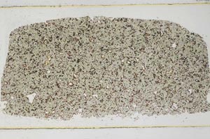 Plane Polarized, S58531