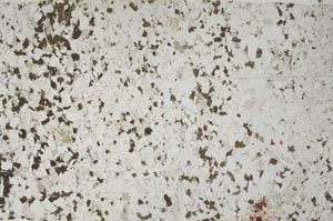 Plane Polarized, S58532