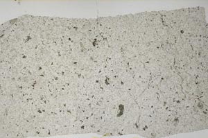 Plane Polarized, S58536