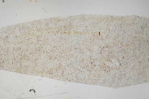 Plane Polarized, S58541
