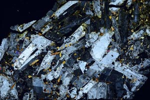 Cross Polarized, S58555