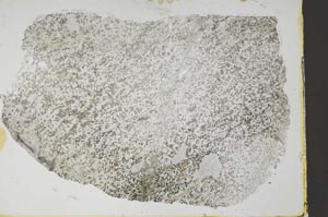 Plane Polarized, S58562/B