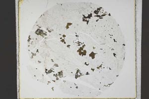 Plane Polarized, S58565