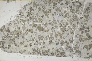 Plane Polarized, S58566