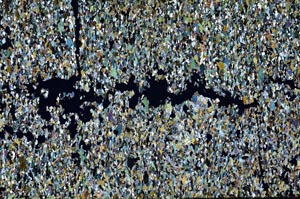 Cross Polarized, S58612