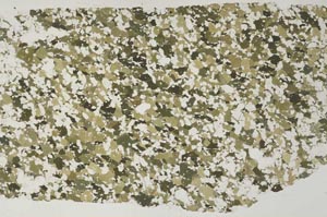 Plane Polarized, S58622