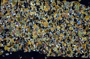 Cross Polarized, S58623