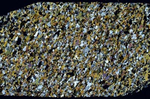 Cross Polarized, S58624