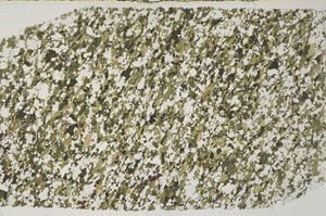 Plane Polarized, S58624