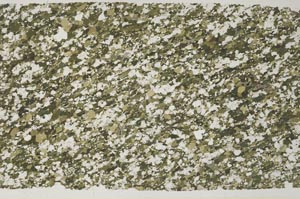 Plane Polarized, S58625