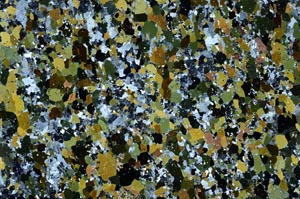 Cross Polarized, S58632