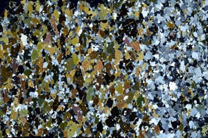 Cross Polarized, S58634