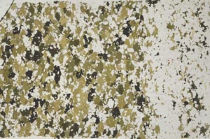 Plane Polarized, S58634