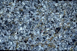 Cross Polarized, S58637