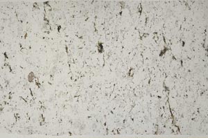 Plane Polarized, S58640
