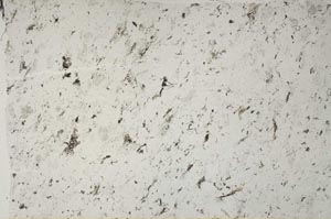 Plane Polarized, S58641