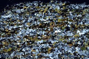 Cross Polarized, S58661