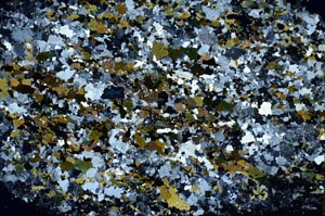 Cross Polarized, S58662