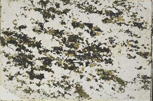 Plane Polarized, S58662