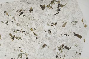 Plane Polarized, S58681