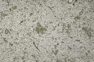 Plane Polarized, S58682