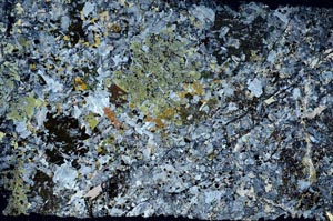 Cross Polarized, S58695