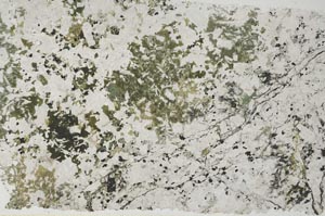 Plane Polarized, S58695