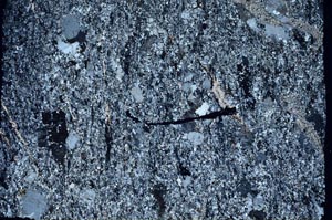 Cross Polarized, S58697