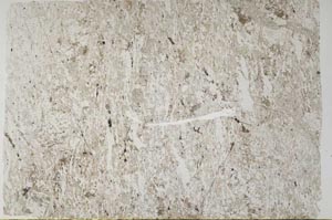 Plane Polarized, S58697