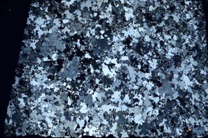 Cross Polarized, S58698