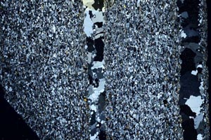 Cross Polarized, S58727