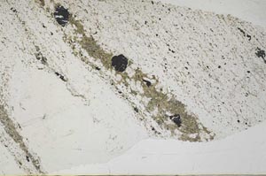 Plane Polarized, S58728