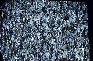 Cross Polarized, S58731
