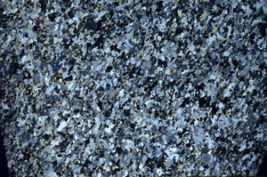 Cross Polarized, S58735