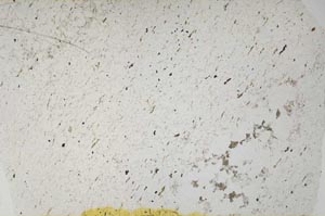 Plane Polarized, S58736