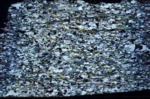 Cross Polarized, S58743