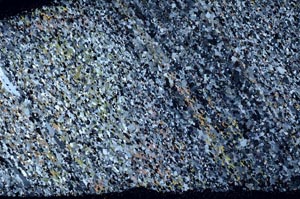 Cross Polarized, S58744