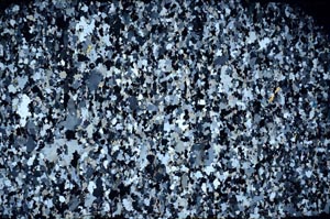 Cross Polarized, S58746