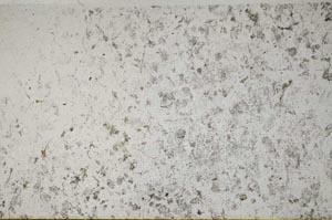 Plane Polarized, S58761