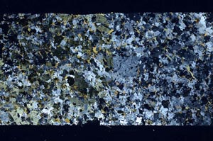 Cross Polarized, S58763