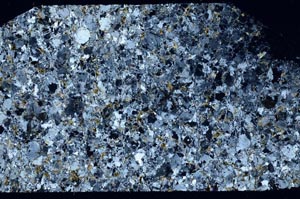 Cross Polarized, S58764