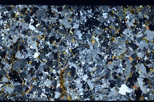 Cross Polarized, S58768