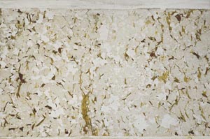 Plane Polarized, S58768