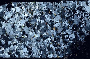 Cross Polarized, S58771
