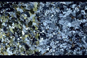 Cross Polarized, S58774