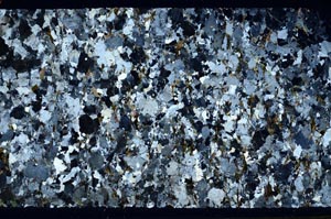 Cross Polarized, S58780