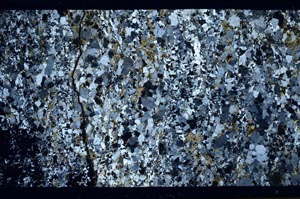 Cross Polarized, S58790